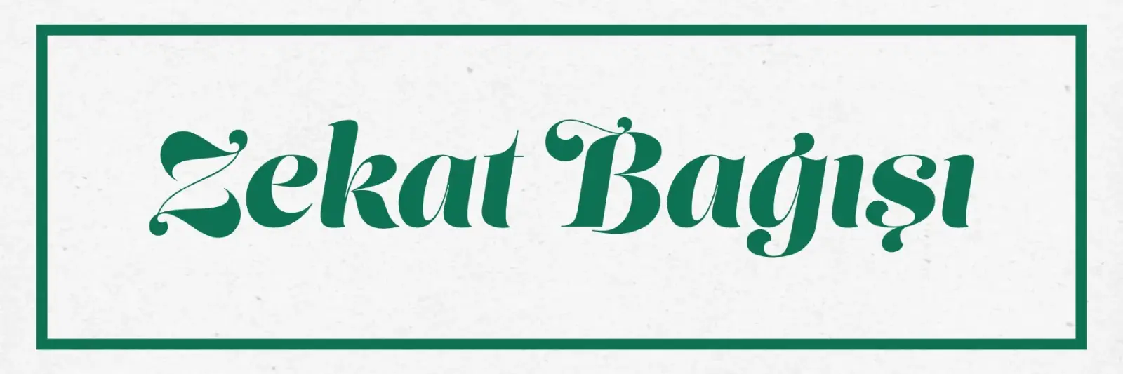 Zekat Bağışı